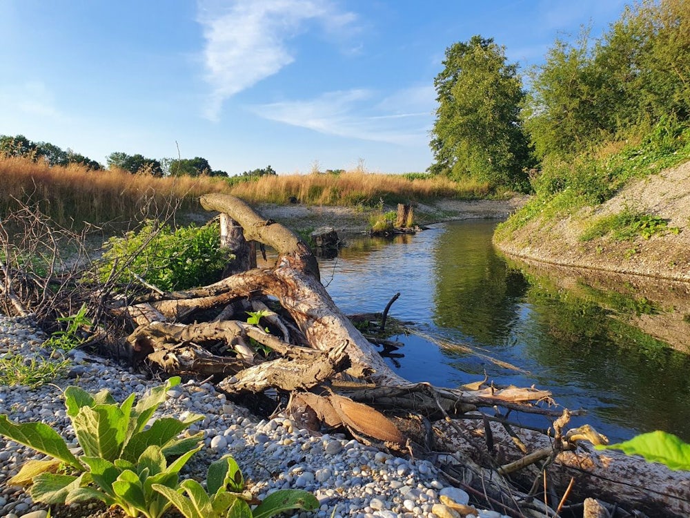 Sz Serie: Alles Im Fluss: Balsam Für Einen Geschundenen