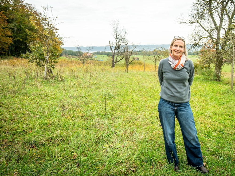 Krimis Vom Ammersee: „die Bayern Sind In Gewisser Natur Kriminell“